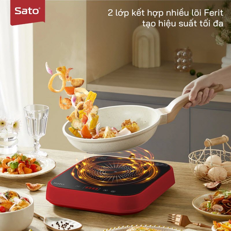 Bếp từ đơn Sato BT031.N2 3