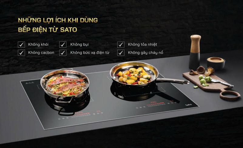 Combo Bếp Từ Đôi + Máy Hút Mùi SATO 1
