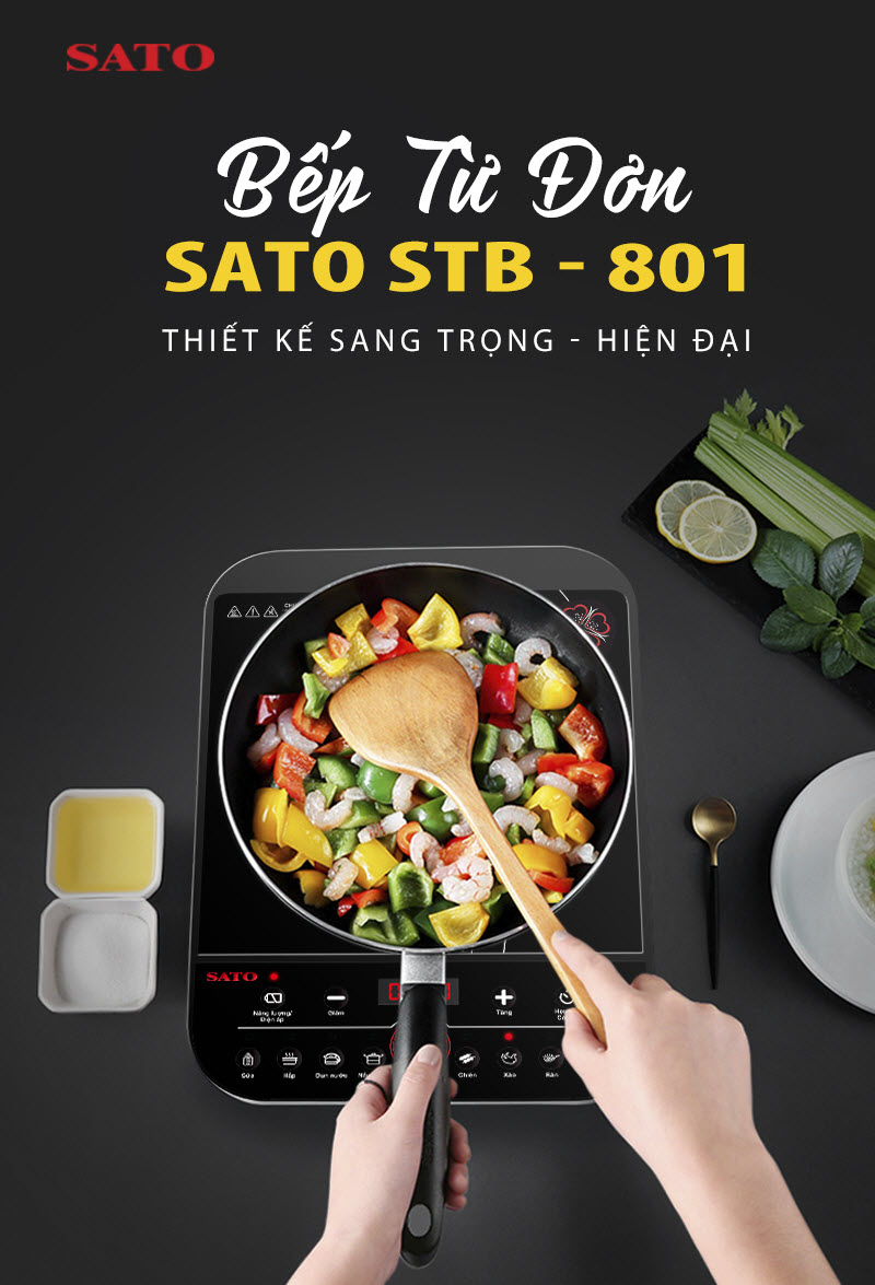 Bếp từ đơn SATO VN-STB-801-ONL (tặng nồi lẩu inox) 1